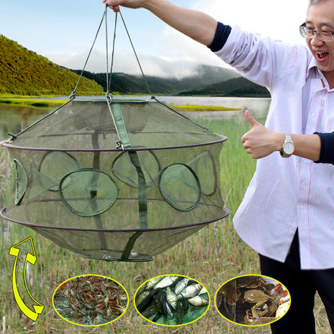 Minnow Lobster Crab Fish Trap