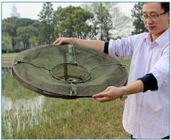 Minnow Lobster Crab Fish Trap