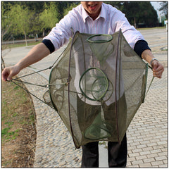 Minnow Lobster Crab Fish Trap