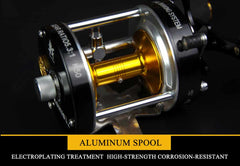 Fishing Reel Double Centrifugal Brake